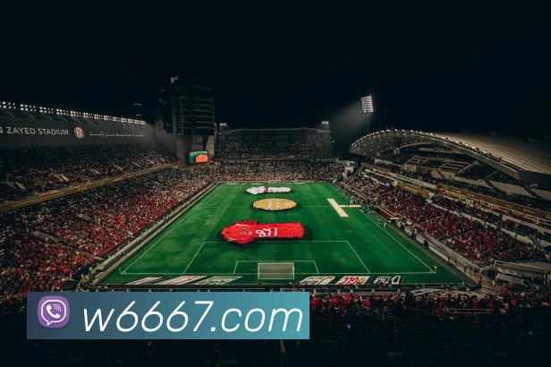 w66国际利来APP 体育赛事宣传图